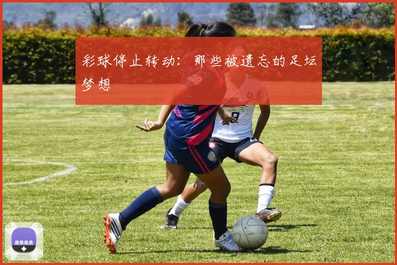 彩球停止转动:那些被遗忘的足坛梦想