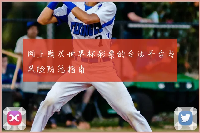 网上购买世界杯彩票的合法平台与风险防范指南